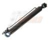 CASALS CH239 Tilt Cylinder, driver cab